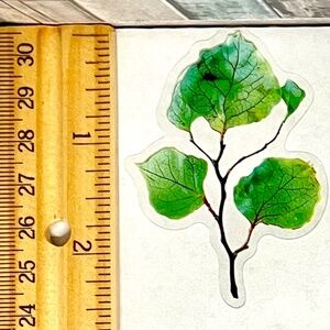🌀10/$10🌀 Leaf Translucent Reusable Waterproof Sticker Decal